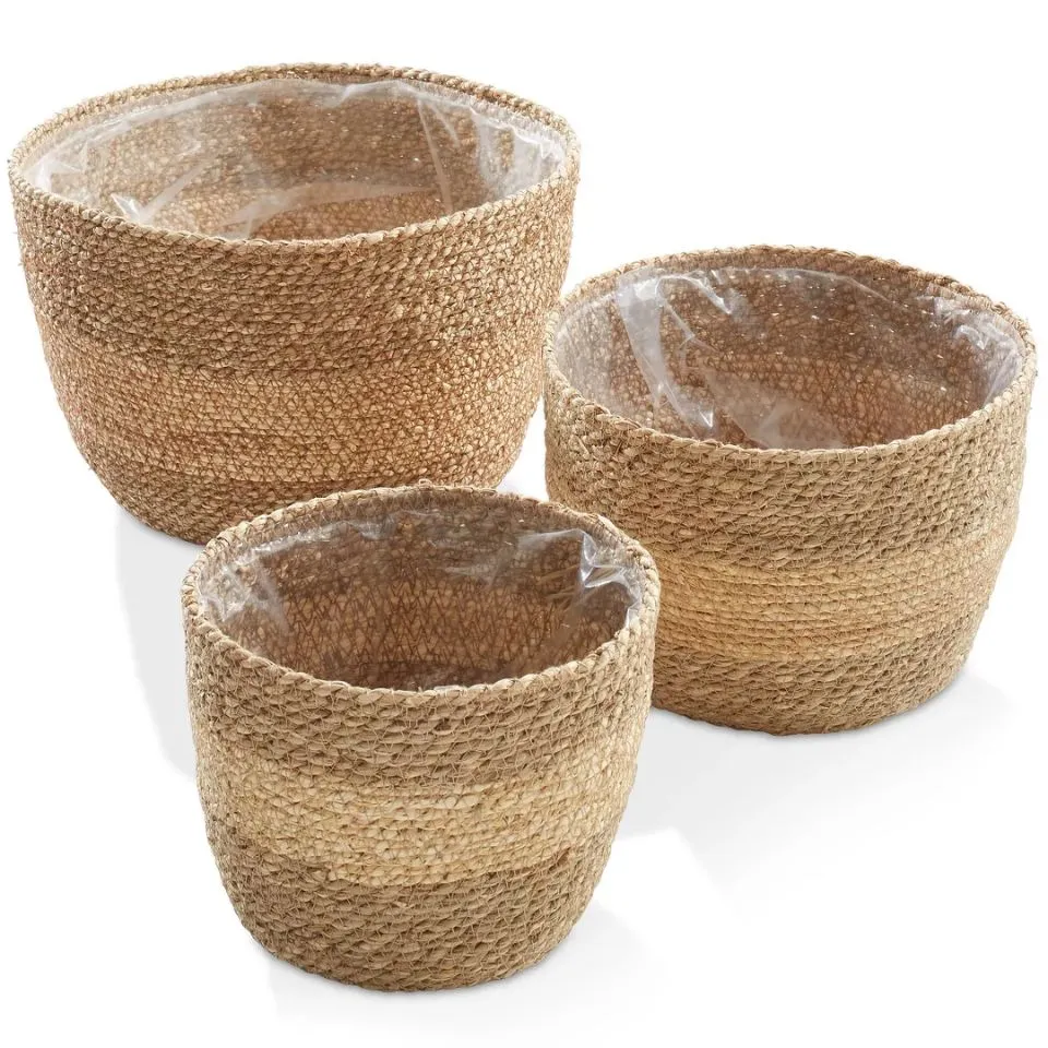 Seagrass Plant Holder Low Moq