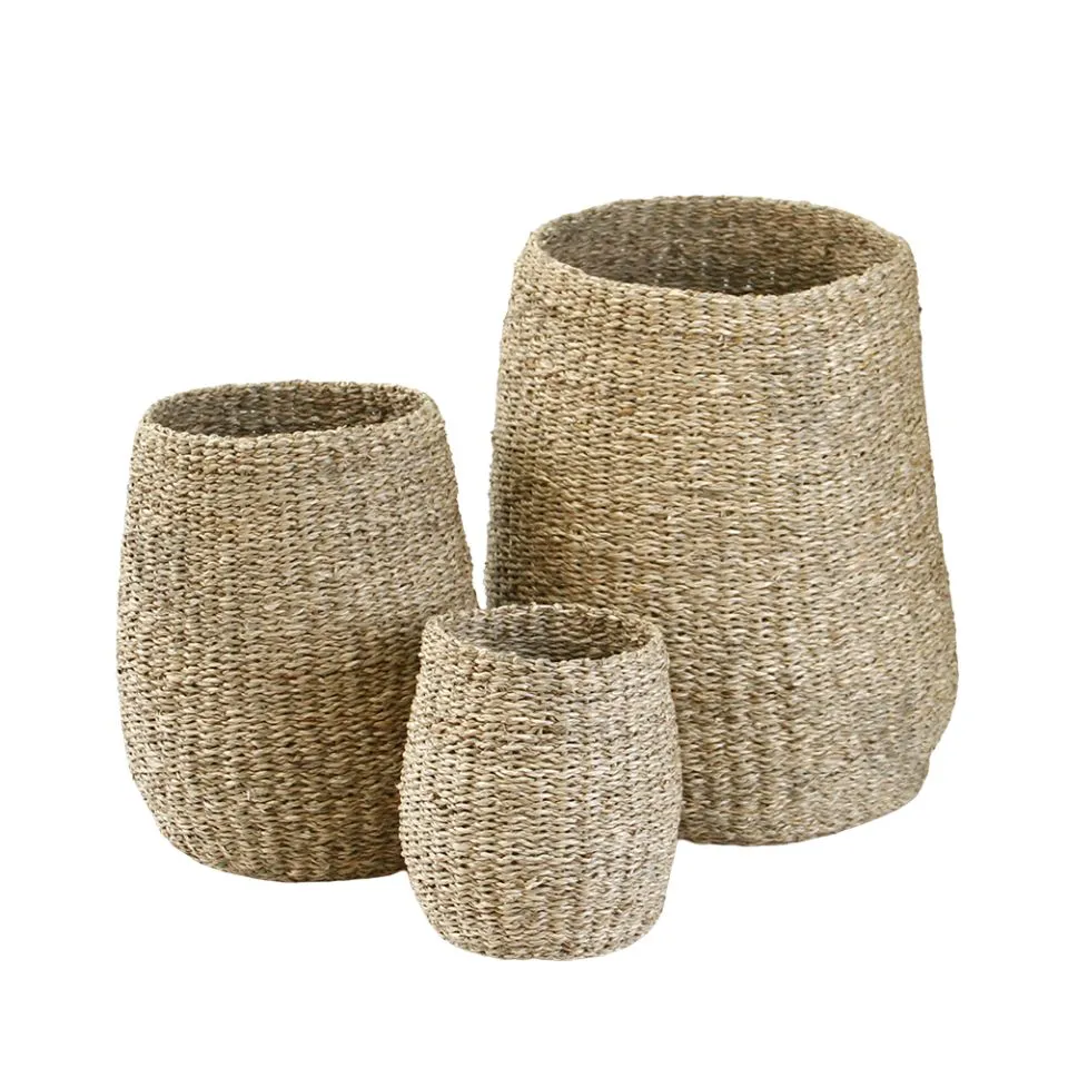 Seagrass Plant Holder Short Lead Time
