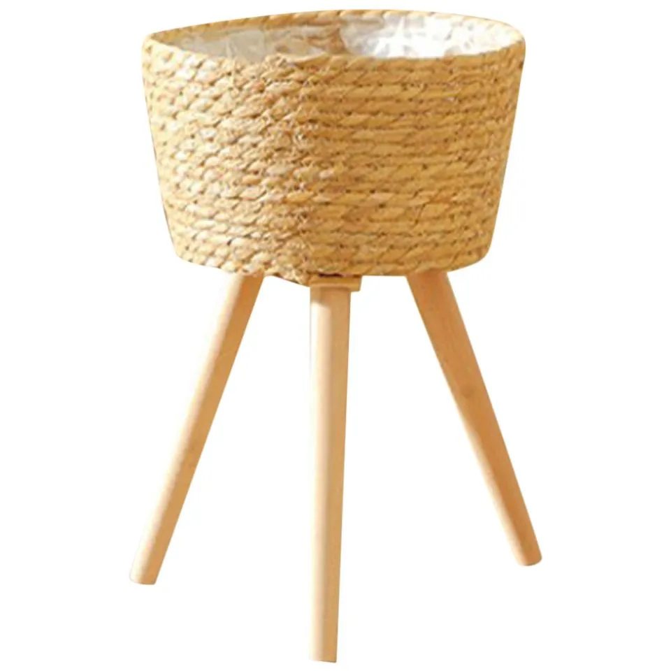 Seagrass Plant Stand Vietnam